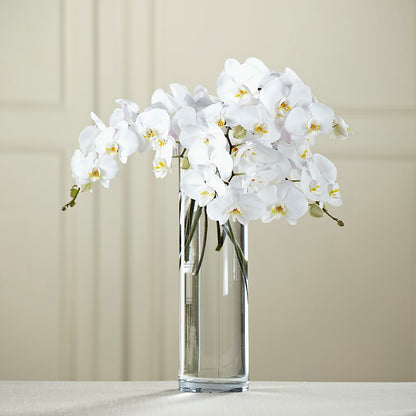 White Phalaenopsis Bouquet –  Acuarela Events Inc, Land O Lakes FL