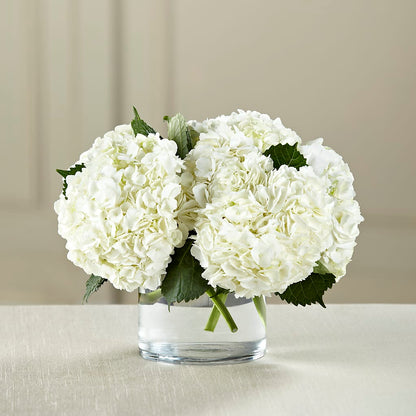 White Hydrangea Bouquet –  Acuarela Events Inc, Land O Lakes FL